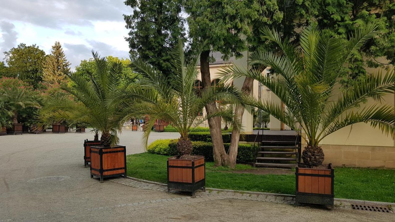 Apartamencik Maja Studio Kudowa-Zdrój Exterior foto